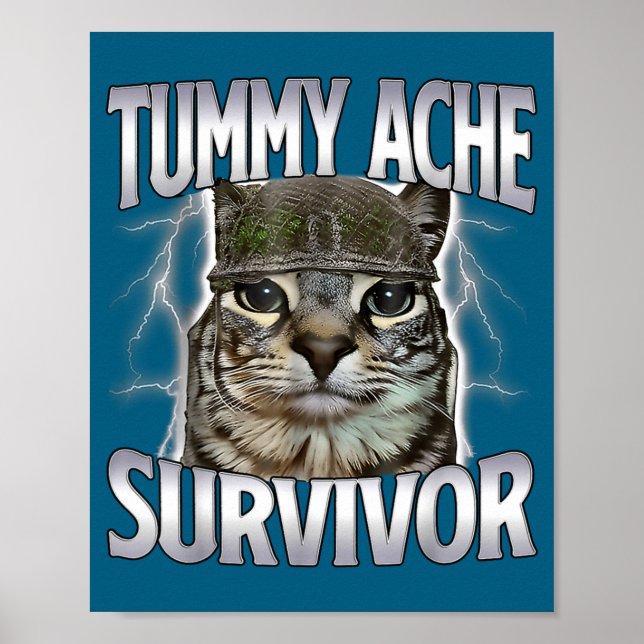 Póster Gato Meme Sobreviviente de Dolor de Barriga Divert (Frente)