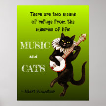 Gato Musical Lindo Dos Medios de Refugio Schweitze