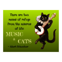 Gato Musical Lindo Dos Medios de Refugio Schweitze