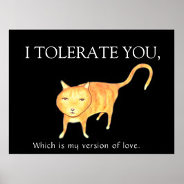 Póster Gato Naranja Apático Tolerante