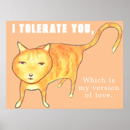 Póster Gato Naranja Apático Tolerante