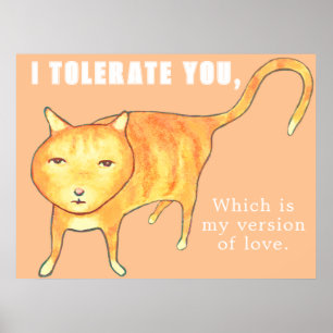 Póster Gato Naranja Apático Tolerante