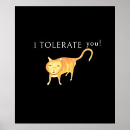 Póster Gato Naranja Tolerante Apático