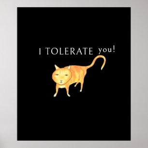 Póster Gato Naranja Tolerante Apático