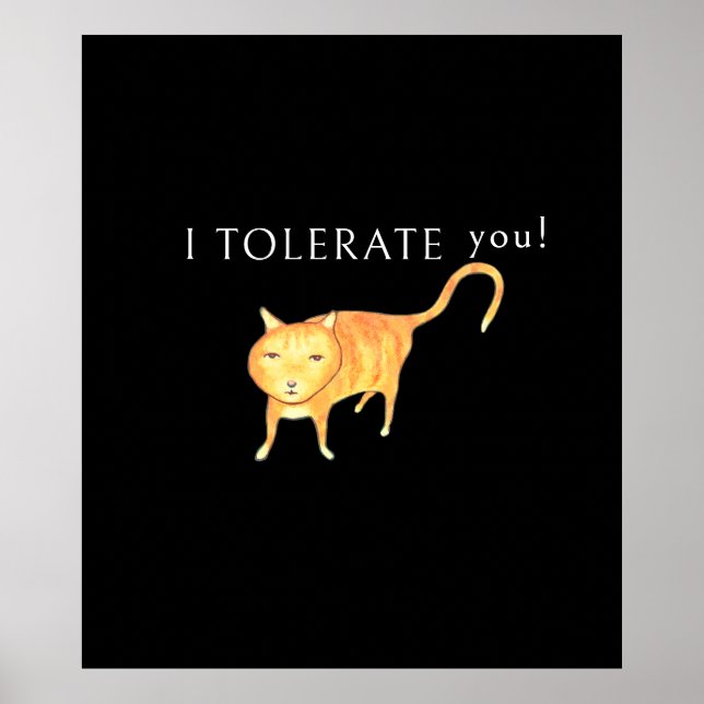 Póster Gato Naranja Tolerante Apático (Frente)