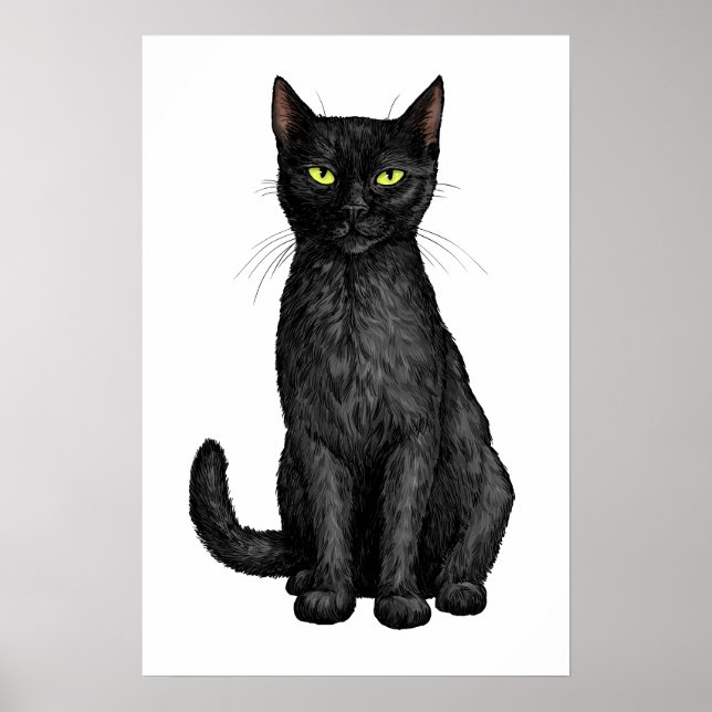 Póster Gato negro (Frente)