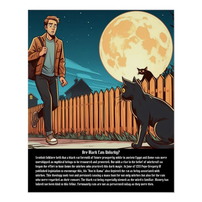 Póster Gato negro (Anverso)