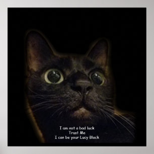 Póster Gato negro afortunado