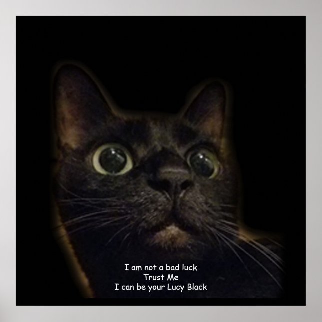 Póster Gato negro afortunado (Frente)