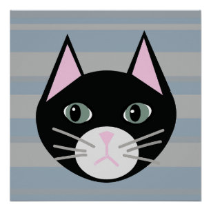 Póster Gato negro, bandas