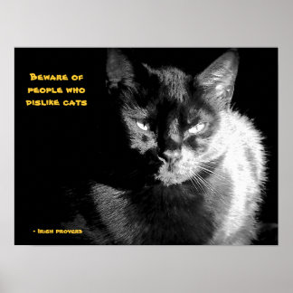 Póster Gato negro brillante con proverbio