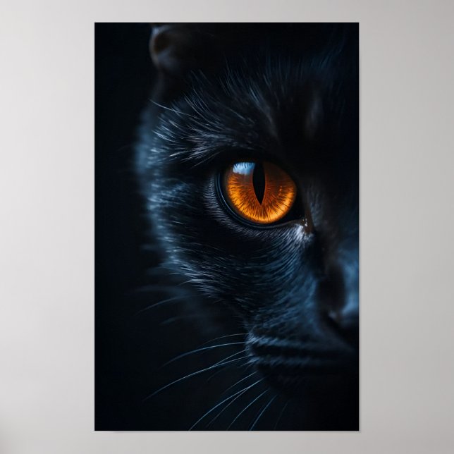 Póster Gato Negro con Ojo Ámbar (Frente)