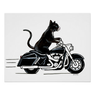 Póster Gato Negro De Tuxedo Montando Una Motocicleta