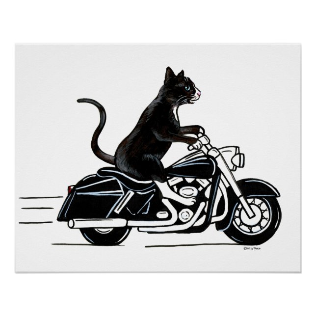 Póster Gato Negro De Tuxedo Montando Una Motocicleta (Anverso)