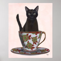 Gato negro en la televisión