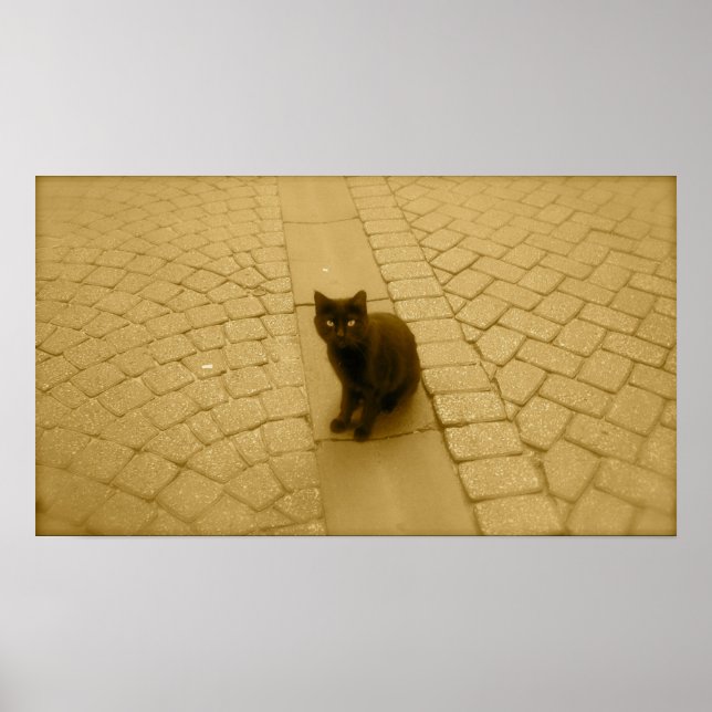 Póster Gato negro en Sepia (Frente)