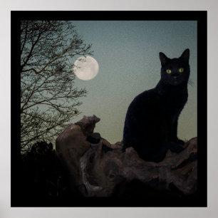 Póster Gato negro en un árbol frente a una luna llena