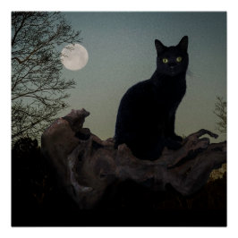 Póster Gato negro en un árbol frente a una luna llena