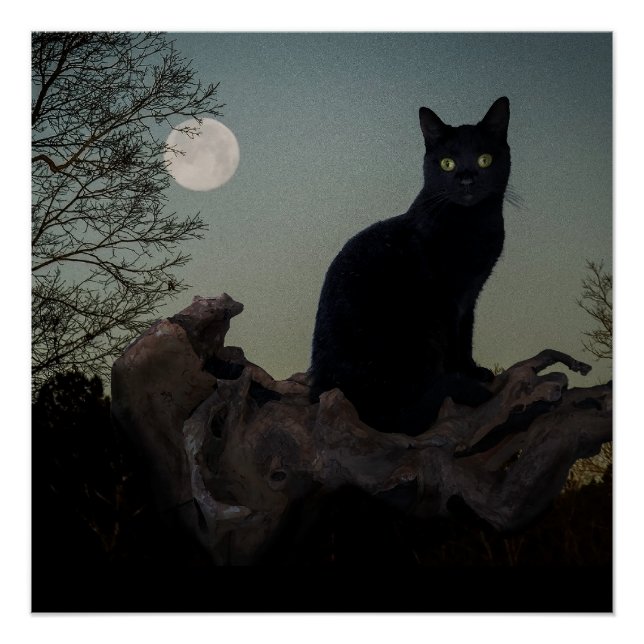 Póster Gato negro en un árbol frente a una luna llena (Anverso)