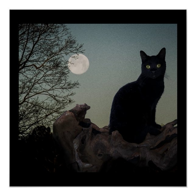 Póster Gato negro en un árbol frente a una luna llena (Anverso)