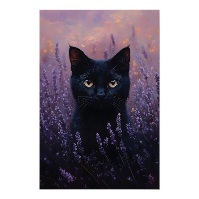 Póster Gato negro en un Ilustracion de campo de lavanda (Anverso)