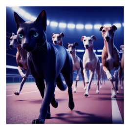 Póster Gato Negro Encabezado De Perros En Pista De Perros