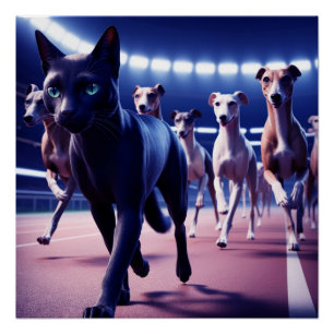 Póster Gato Negro Encabezado De Perros En Pista De Perros
