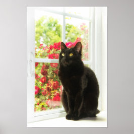 Póster Gato negro enmarcado en blanco
