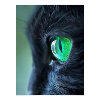 Póster Gato Negro Ojo Esmeralda