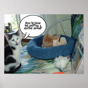 Póster Gato negro y blanco