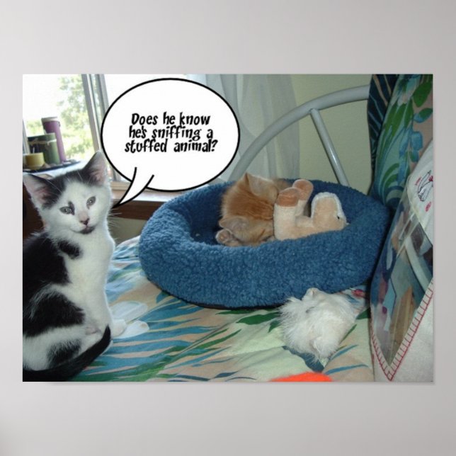 Póster Gato negro y blanco (Frente)