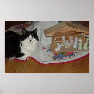 Póster Gato negro y blanco navidad