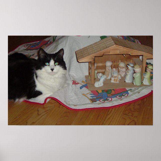 Póster Gato negro y blanco navidad (Frente)
