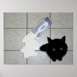 Póster Gato negro y leche derramada