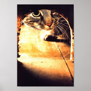 Póster Gato Peering En El Agujero Del Ratón