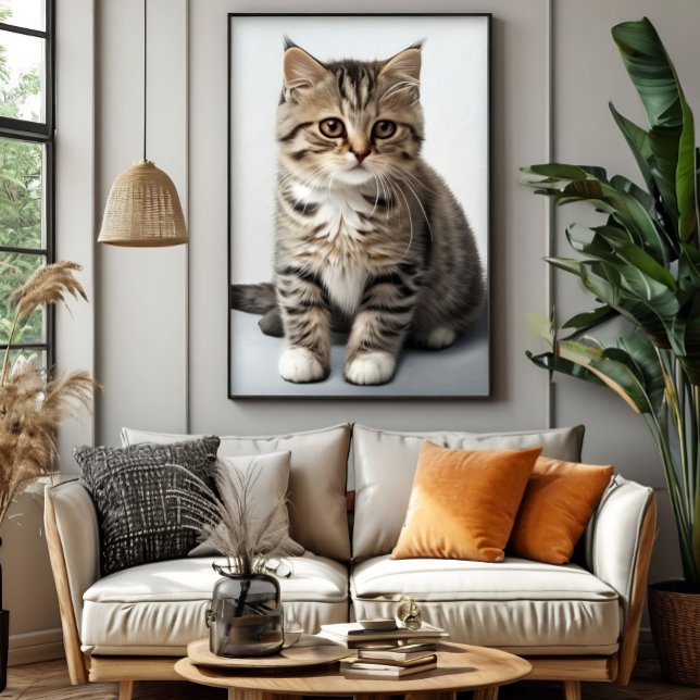 Póster Gato perdido en el tiempo (Subido por el creador)