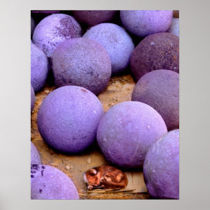 Póster gato perdido en las bolas de cañón