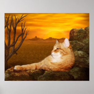 Póster Gato perezoso