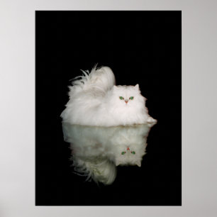 Póster Gato Persa con Ojos Verde Jade