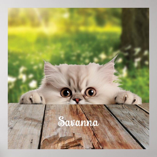 Póster Gato persa lindo (Frente)