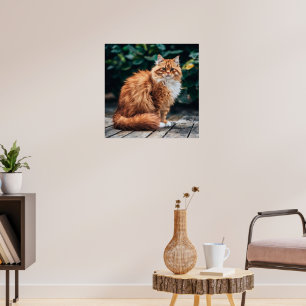 Póster Gato persa naranja