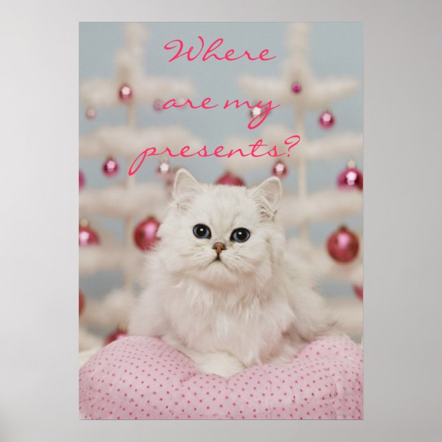 Póster Gato persa sentado en una almohada rosa (Frente)