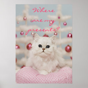 Póster Gato persa sentado en una almohada rosa