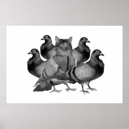 Póster Gato personalizable entre el Poster de las palomas