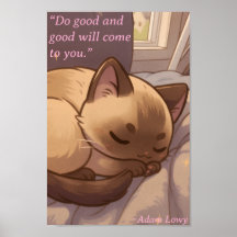 Gato positivo y pacífico