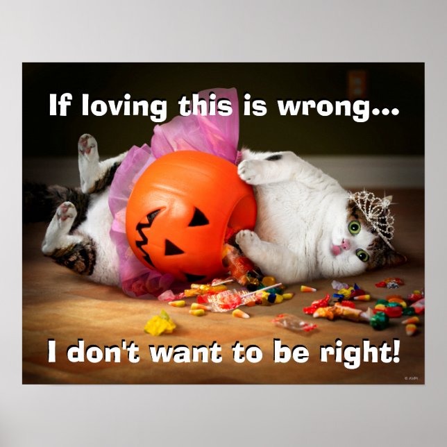 Póster Gato Princesa Con Cubo De Candy (Frente)