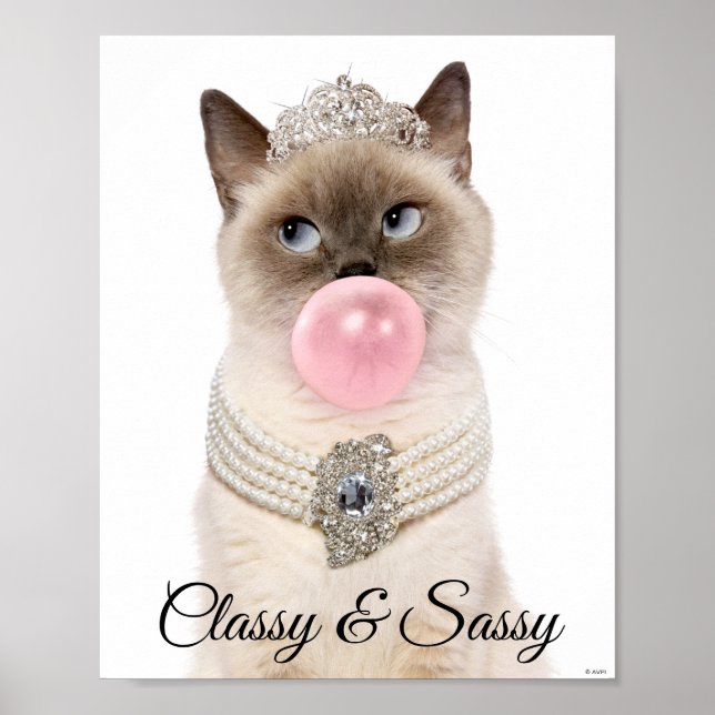 Póster Gato Princesa que sopla burbuja (Frente)