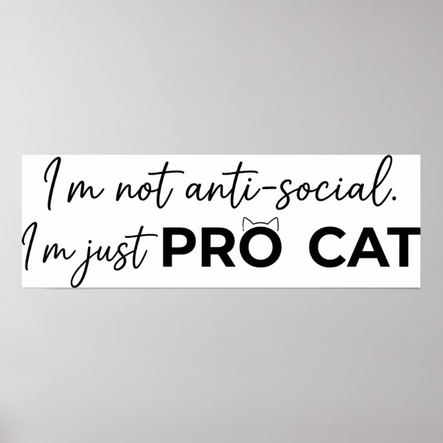Póster Gato Pro Divertido Introvertido Antisocial  (Frente)