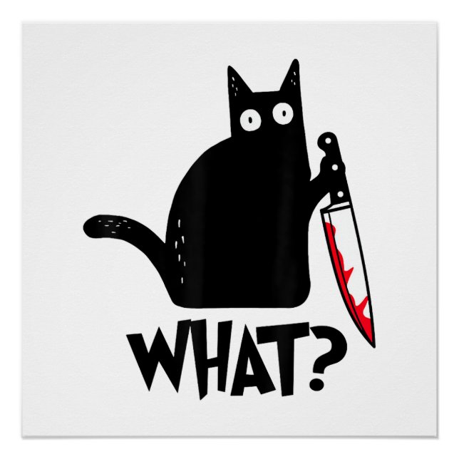 Póster Gato Qué_ Gracioso Gato Negro  (Anverso)