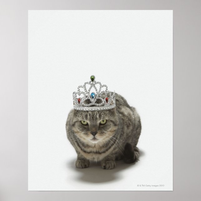 Póster Gato que lleva una tiara (Frente)